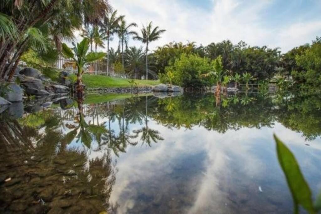 Apartamento Bien Situado - Buenas Conexiones Santa Cruz de Tenerife Esterno foto